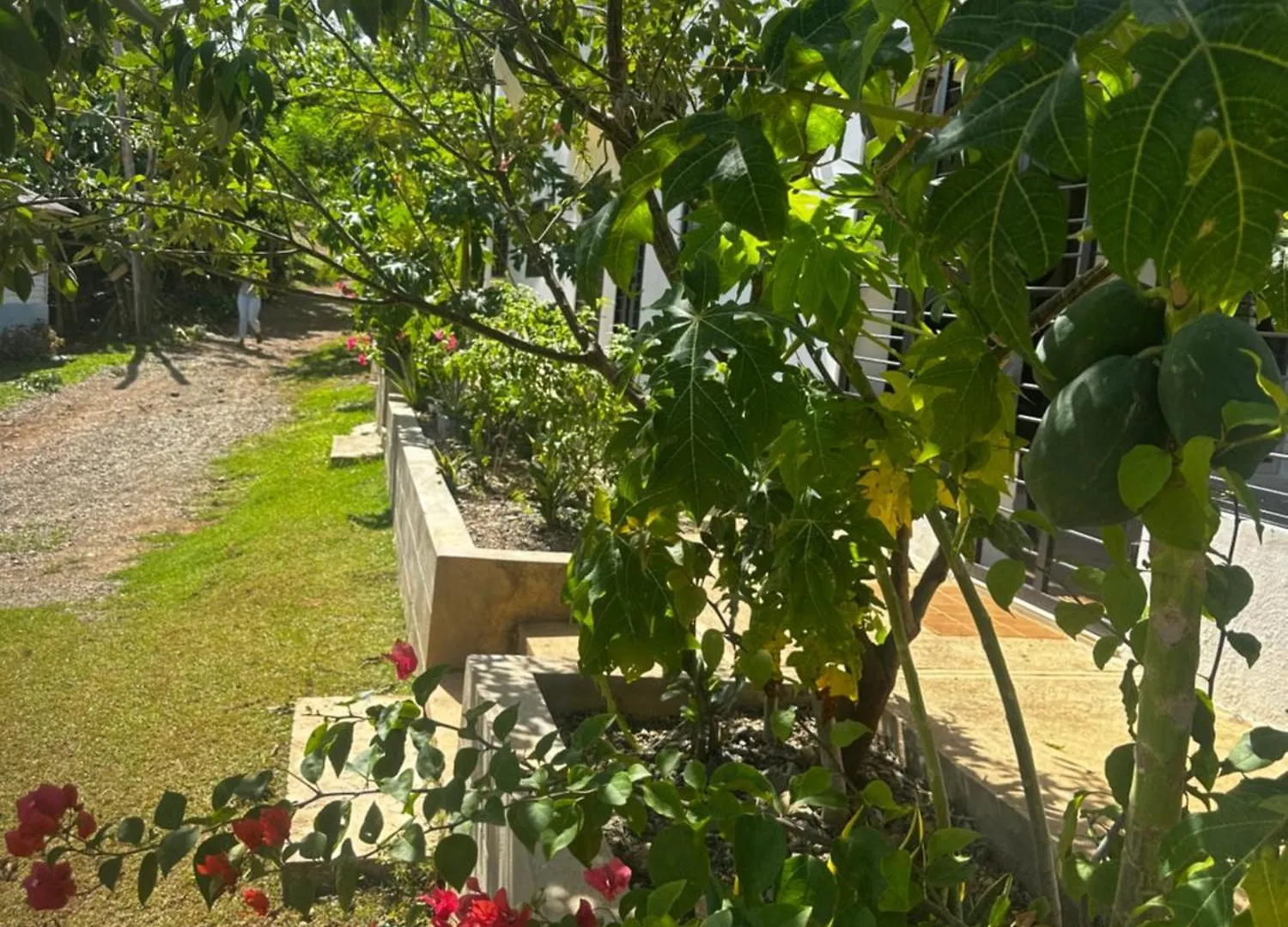 Yamasa Shared Villa Colorado 0*,  Dominican Republic