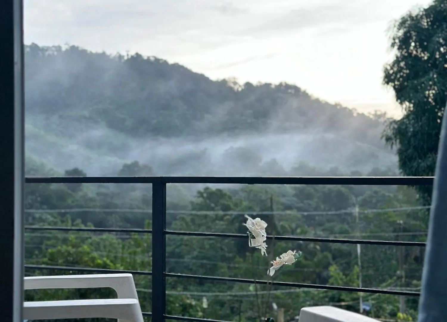 Yamasa Shared Villa Colorado